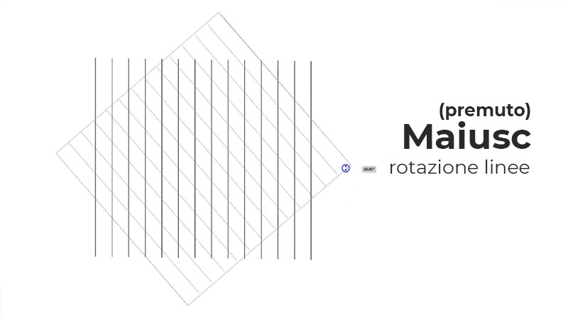 rotazione linee rotazione linee